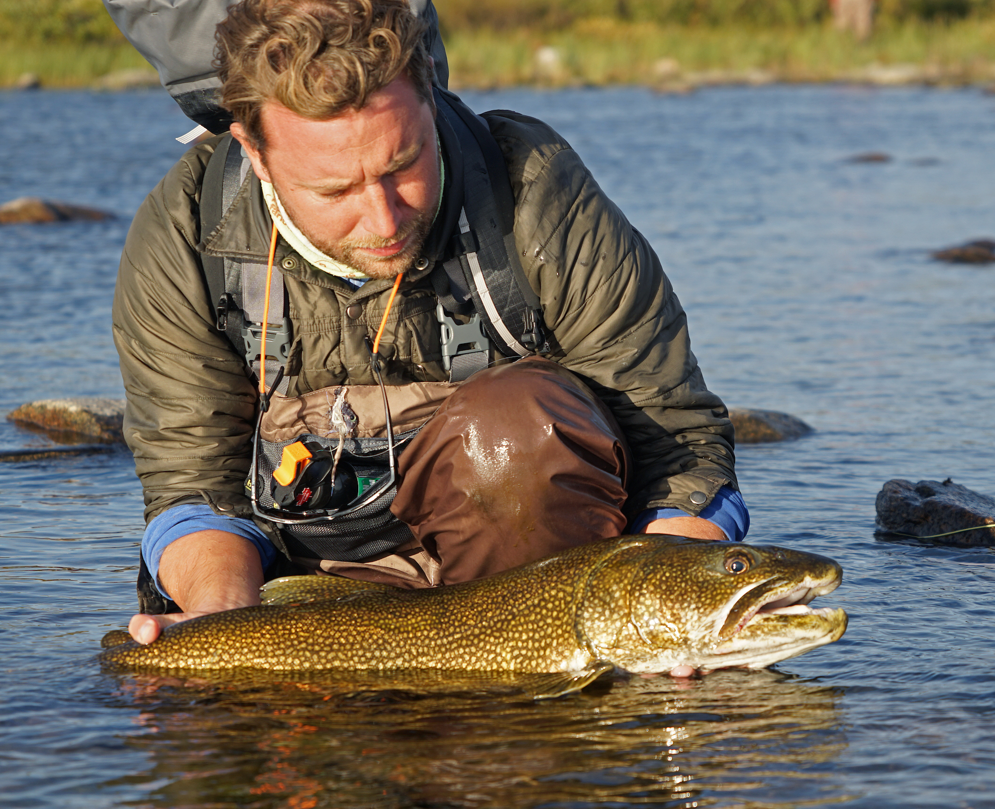 Catch and release arctic lake trou fly fishing