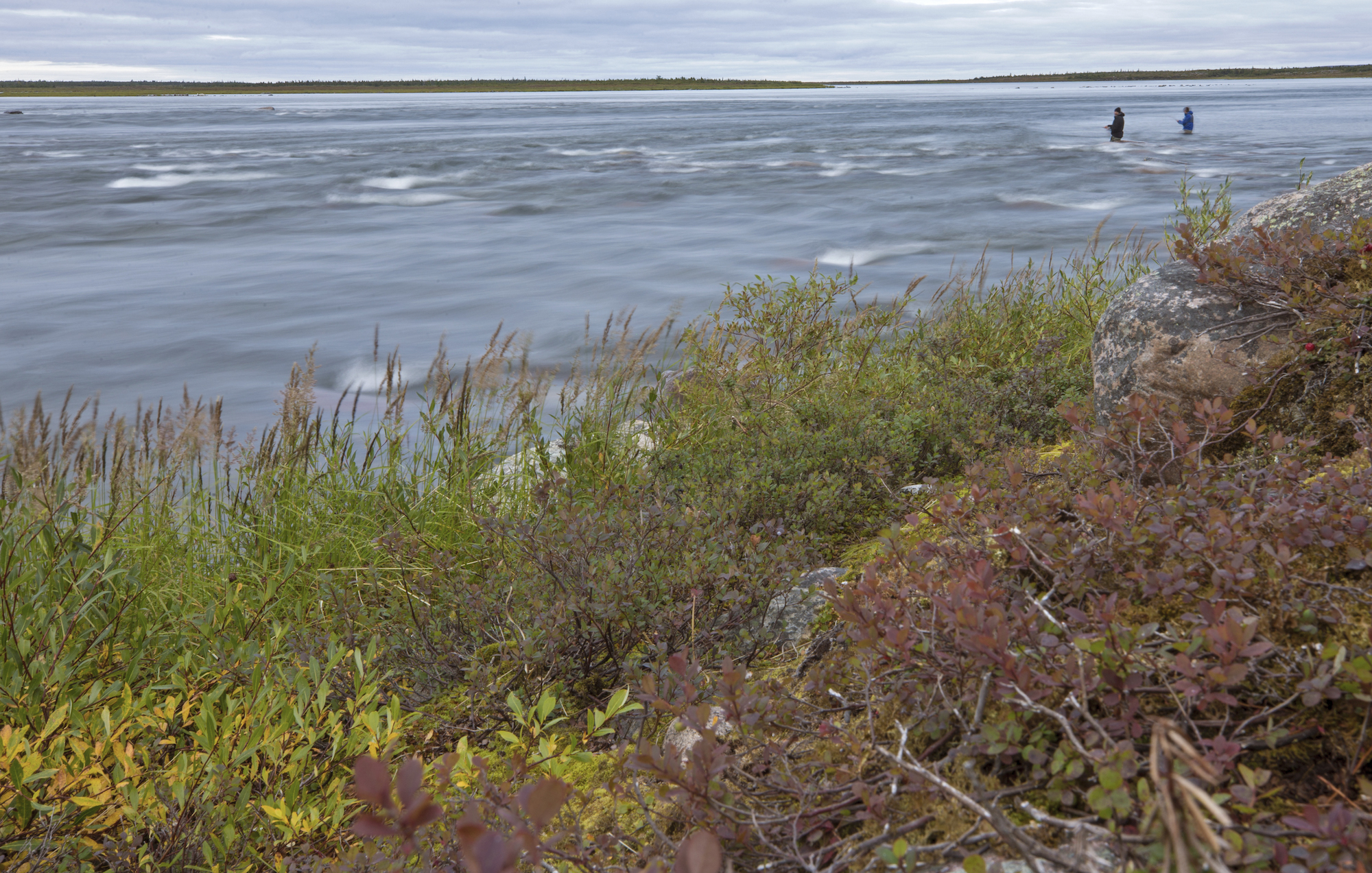 Fly fishing in the Canadian arctic on Ennadai